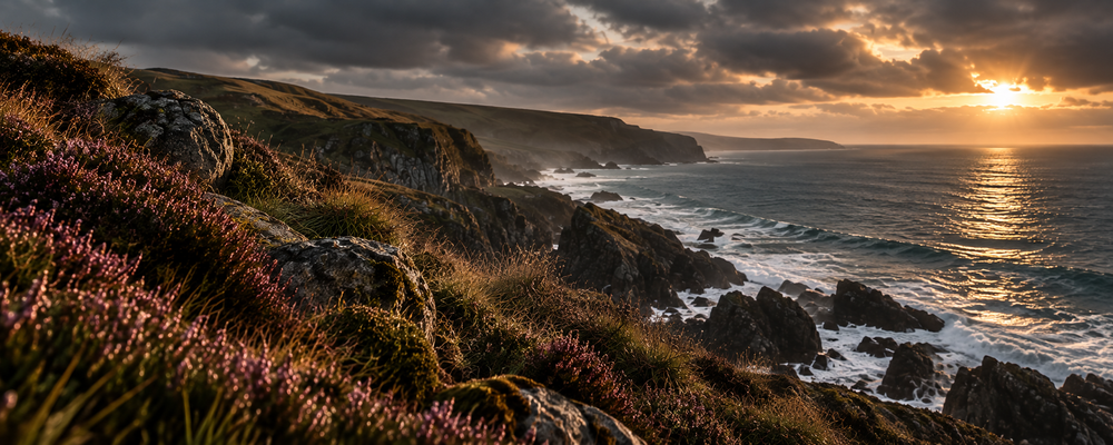 Heather and cliffs overlooking the evening sea