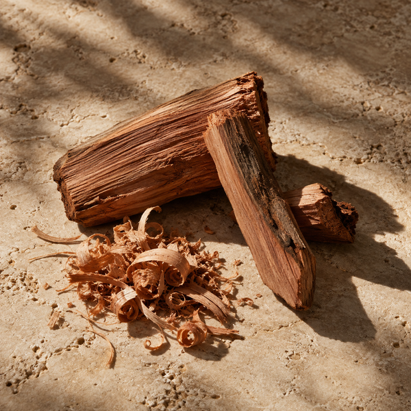 cedar fragrance note still life
