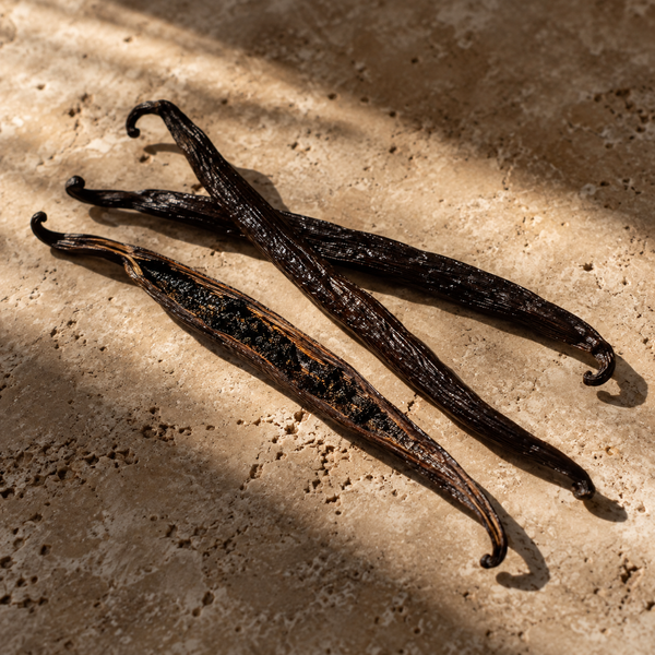 vanilla fragrance note still life